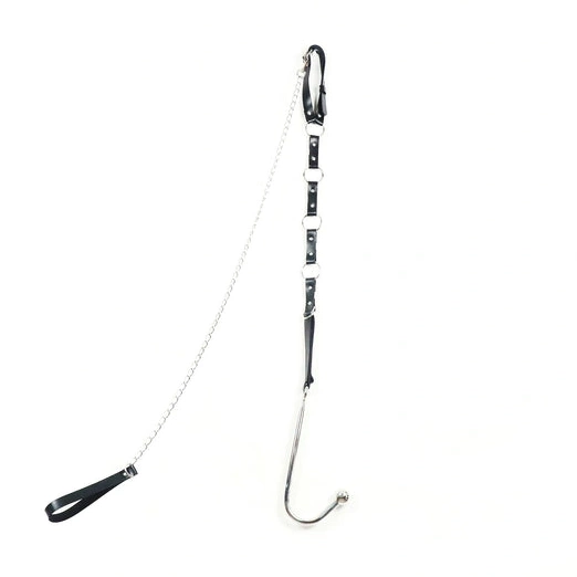 with 5853 Kinky EverydayUse Anal Collar and Leash Hook 0801